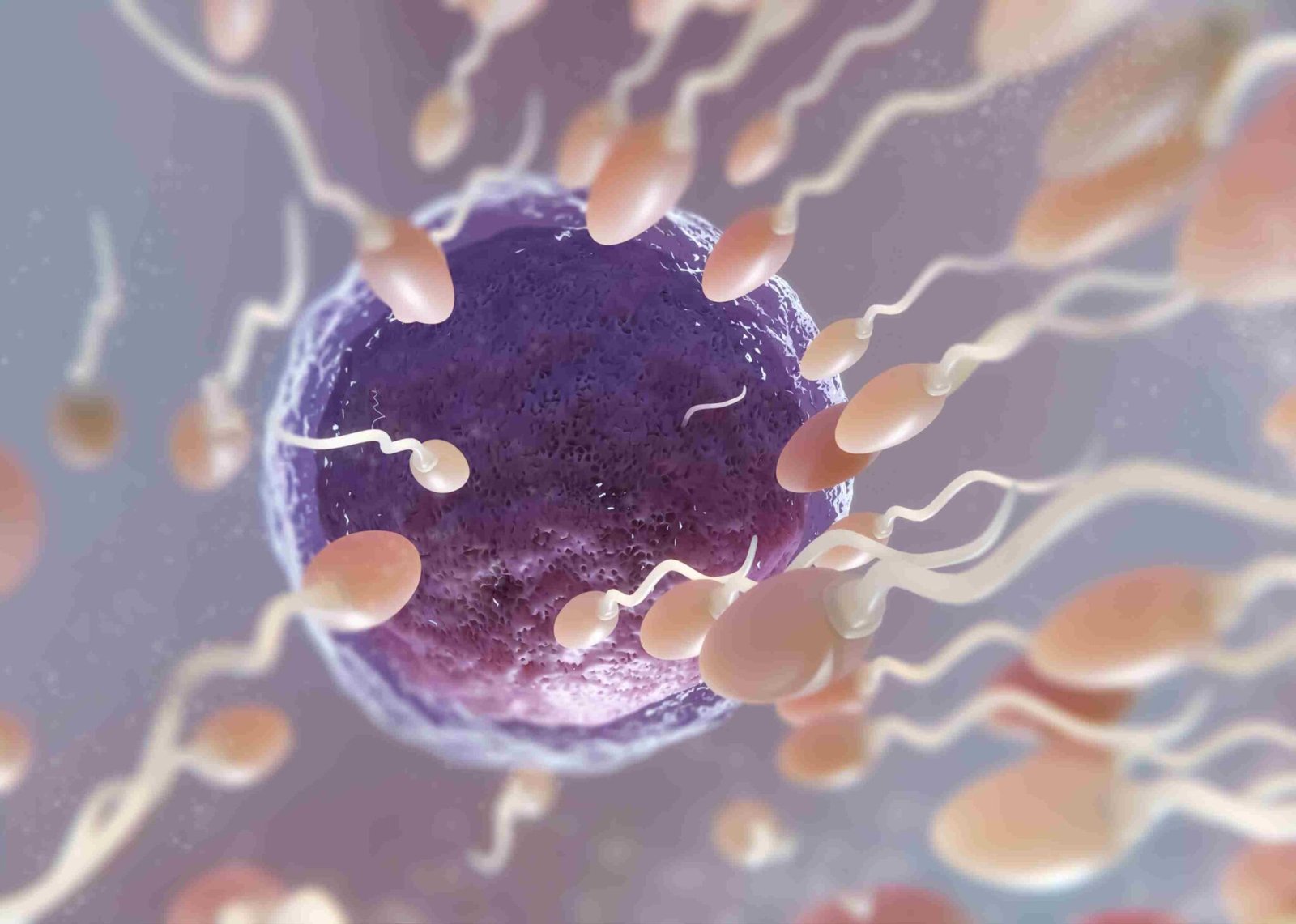 Como aumentar a fertilidade masculina: Guia Completo